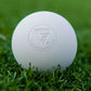 Crankshooter TX Extreme Grip textured lacrosse game balls, white, 12 pack, NFHS SEI NOCSAE NCAA certified